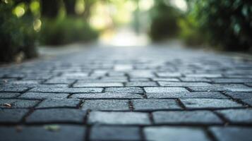 Brick walkway with a few trees in the background. The walkway is made of bricks and has a grey color. The trees are green and are scattered around the walkway photo