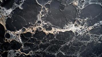 Black and white photo of a marble wall with a lot of holes and cracks. The photo has a moody and somewhat eerie feel to it