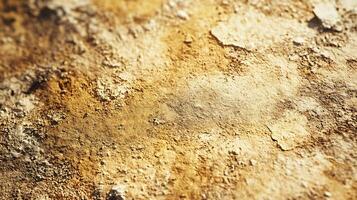Close up of a sandy surface with a few small rocks scattered about. The image has a somewhat rough and rugged appearance, with the sand and rocks creating a sense of texture and depth photo