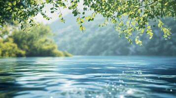 Body of water with a tree branch over it. The water is calm and clear photo