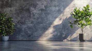 Large wall with a plant on it. The plant is in a pot and is on the left side of the wall photo