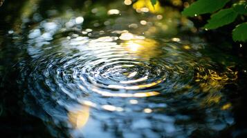 Small ripple in a body of water. The water is calm and still, with a few leaves floating on the surface. The scene is peaceful and serene, with the sun shining down on the water photo