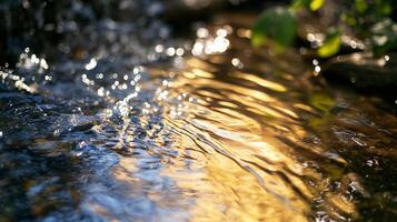 The water is calm and clear, with a few ripples here and there. The sun is shining on the water, creating a beautiful reflection. The scene is peaceful and serene, with the water photo