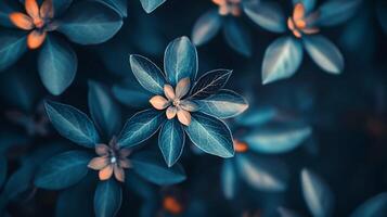 Close up of a flower with a blue background. The flower is surrounded by other flowers and leaves, creating a sense of depth and dimension. The blue color of the background photo