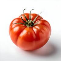 Red tomato on white background photo