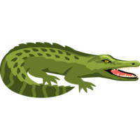 crocodile predatory reptile png