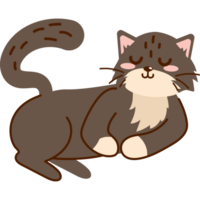 relaxed cat lying on its stomach png