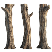 árvore roupa de baixo com realista latido textura png