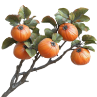 Persimmon Tree with Orange Fruits on Branches png