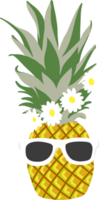 the summertime traveling png