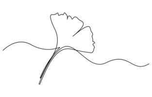 Ginkgo Leaf Continuous Line Drawing vector