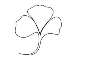 Ginkgo Leaf Continuous Line vector