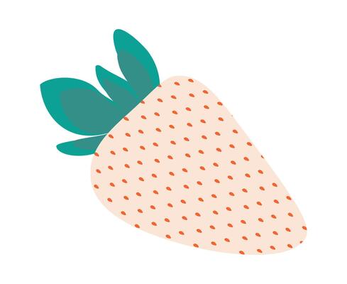 White strawberry with green leaves Unusual summer useful fruit in trendy shades. Minimalist element. Isolated illustration Thematic or menu cards, leaflets, greetings, label or web promo banner