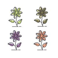 Flower several color icon vector