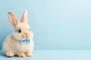 Cute white rabbit with blue bow tie sitting on yellow background photo