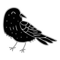 a black bird with a white background vector