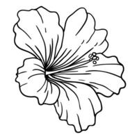 a flower is drawn in black and white on a white background vector