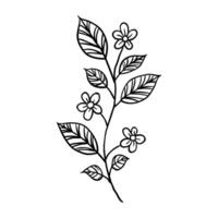 a black and white drawing of a branch with flowers vector