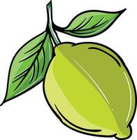 a lemon with leaves on it vector