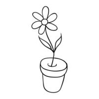 a flower pot with a flower in it is drawn vector