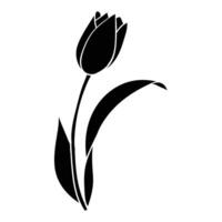 a black and white tulip flower on a white background vector