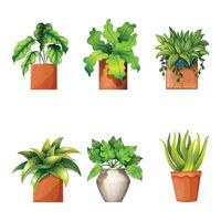 Bring Nature Home Beautiful Plants in Pots for Every Space vector