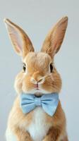 Cute rabbit wearing a blue bow tie poses against a light blue background photo