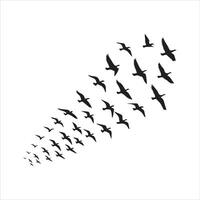 Flock of Birds Silhouettes on White vector