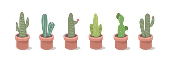 Collection of cactus. Set of cactus. Cactus in different model. Cactus plant. Succulent. Cacti. Botany. Flowerpot. House plant. Cactaceae. Desert plant. Dessert flower. vector