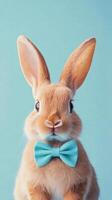 Cute rabbit wearing a blue bow tie poses against a light blue background photo