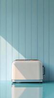 White toaster on a glossy counter against a light blue paneled wall in a bright kitchen photo