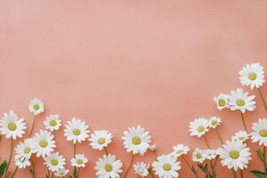 Delicate white flowers against an orange background for a serene spring aesthetic photo