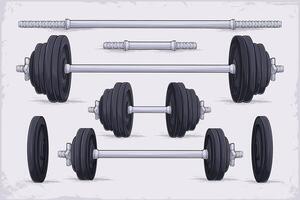 Hand drawn set of multiple gym workout equipment, collection of adjustable barbells and dumbbells vector