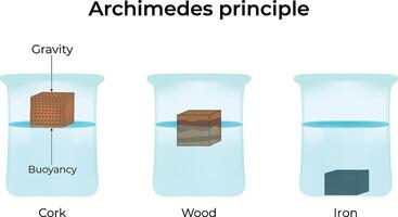 Archimedes Principle Design Illustration vector