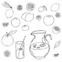Lemonade doodle set. Various citrus fruits, oranges, mandarines, lemons, limes, a glass jug with lemonade. Black hand-drawn contour isolated on a white background. Menus, coloring, web design, print vector