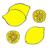 Citrus lemon fruit doodle icon collection, Whole, slice, black contour, yellow flat color, isolated on a white background. Suitable for web design, prints, menus, branding, recipe designs etc. vector