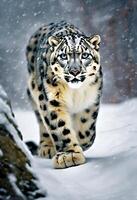 Snow Leopard in Majestic Winter Scene photo