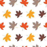 Seamless background with autumn leaves.Maple leaves on an isolated background. vector