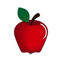 Red apple on an isolated white background. vector