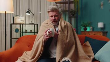 Sick unhealthy man wrapped in plaid sit alone shivering from cold on sofa drinking hot tea at home video