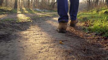 Low view of male legs in boots walking along a path in the forest. A tourist walks in nature on a sunny day. Close up back view video