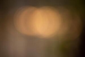 Colorful abstract bokeh effect for background photo