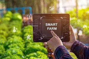 Female farmer inspecting her smart farm grain field. technology and send data to the cloud from the tablet. in the analysis and control of plant quality in the soil smart digital agriculture photo