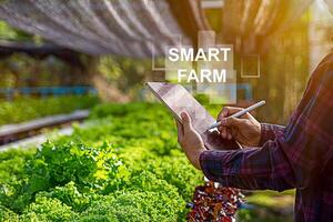 Smart farmer using application by smartphone concepts modern agricultural technology and visual icon.Smart farming photo