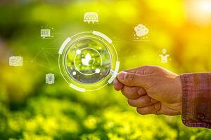Young plant with cyber display of technological smart farming 4.0-Smart Farming and Agriculture Innovation Concept. photo
