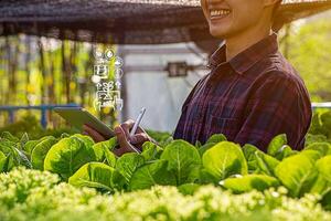 Female farmer inspecting her smart farm grain field. technology and send data to the cloud from the tablet. in the analysis and control of plant quality in the soil smart digital agriculture photo