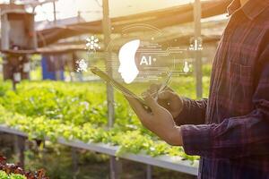 Smart farmer using tablet iot technology analyzing plant health such as water soil moisture photo