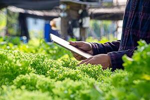 a person is using a tablet in a field photo