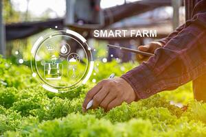 Female farmer inspecting her smart farm grain field. technology and send data to the cloud from the tablet. in the analysis and control of plant quality in the soil smart digital agriculture photo