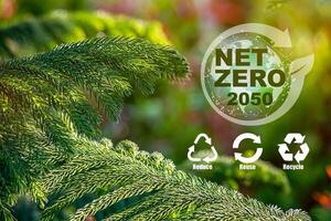 concept of carbon neutral and net zero emissions. photo